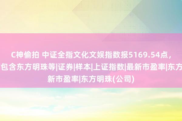 C神偷拍 中证全指文化文娱指数报5169.54点，前十大权重包含东方明珠等|证券|样本|上证指数|最新市盈率|东方明珠(公司)