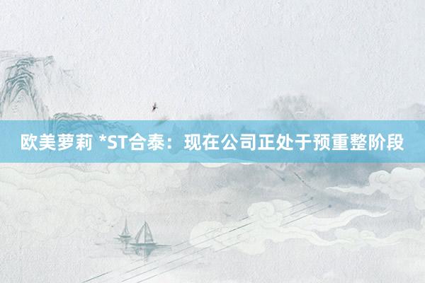 欧美萝莉 *ST合泰：现在公司正处于预重整阶段