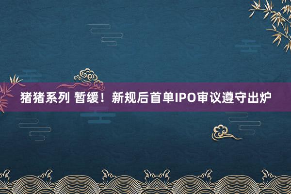 猪猪系列 暂缓！新规后首单IPO审议遵守出炉