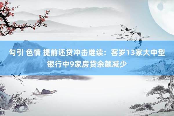 勾引 色情 提前还贷冲击继续：客岁13家大中型银行中9家房贷余额减少