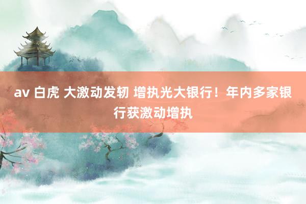 av 白虎 大激动发轫 增执光大银行！年内多家银行获激动增执