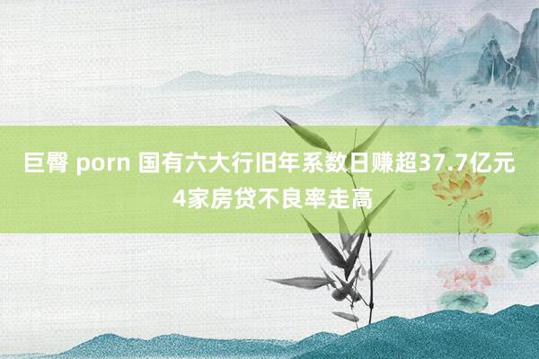 巨臀 porn 国有六大行旧年系数日赚超37.7亿元 4家房贷不良率走高