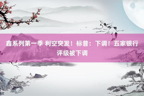 鑫系列第一季 利空突发！标普：下调！五家银行评级被下调
