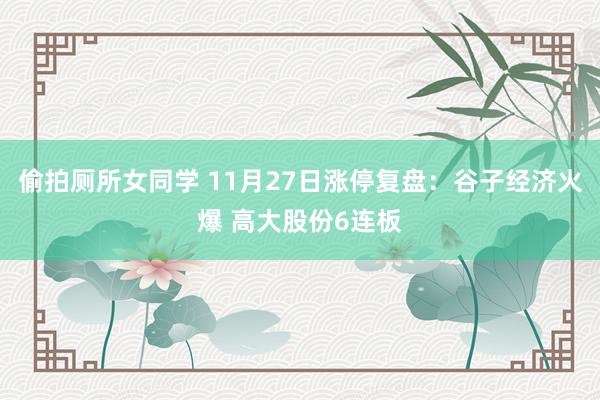 偷拍厕所女同学 11月27日涨停复盘：谷子经济火爆 高大股份6连板