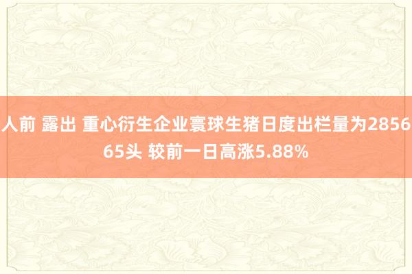 人前 露出 重心衍生企业寰球生猪日度出栏量为285665头 较前一日高涨5.88%