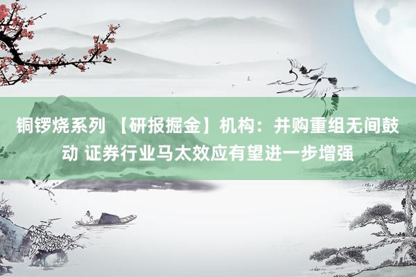 铜锣烧系列 【研报掘金】机构：并购重组无间鼓动 证券行业马太效应有望进一步增强