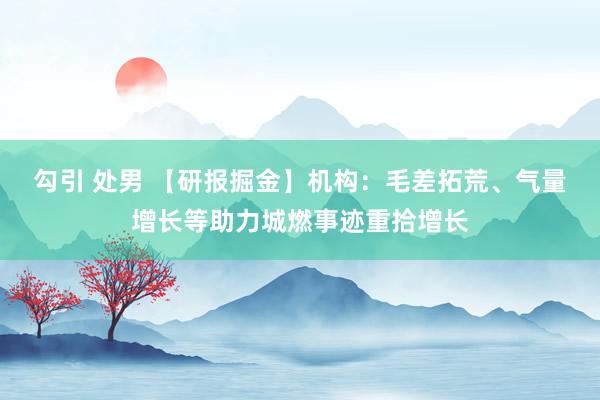 勾引 处男 【研报掘金】机构：毛差拓荒、气量增长等助力城燃事迹重拾增长