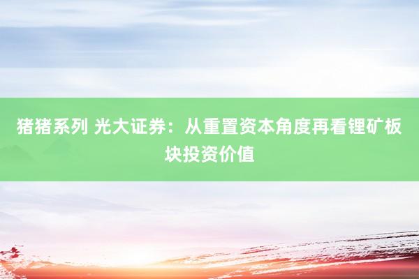 猪猪系列 光大证券：从重置资本角度再看锂矿板块投资价值